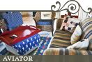 Aviator